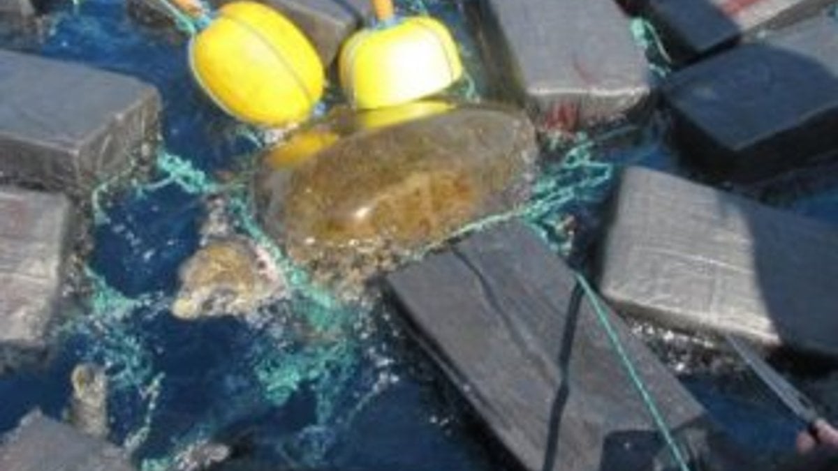 Deniz kaplumbağası 53 milyon dolarlık kokainle yakalandı