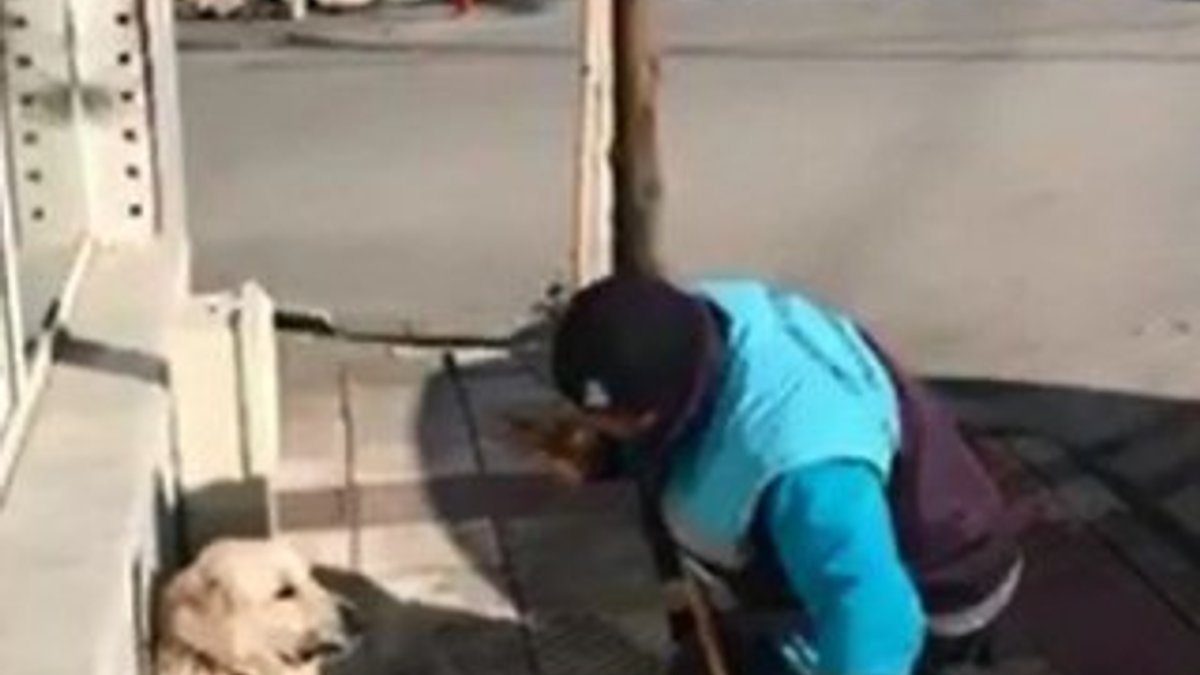 Manisa'da sokak köpeğine şarkı söyleyen işçi