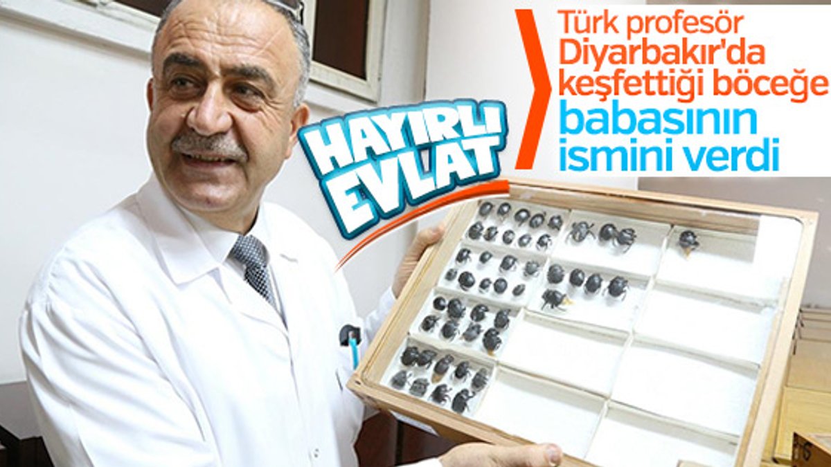 Keşfettiği böceğe babasının adını veren Türk profesör
