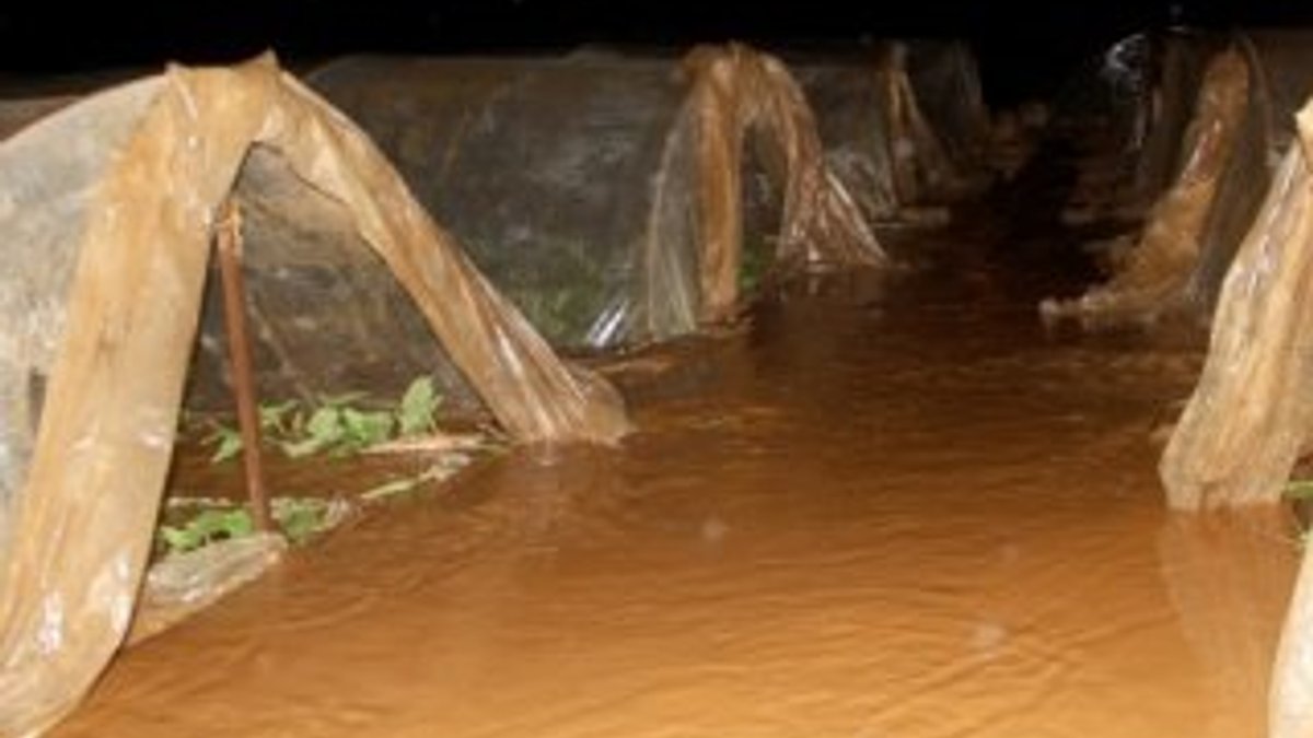Sağanak yağış Muğla'da seraları olumsuz etkiledi