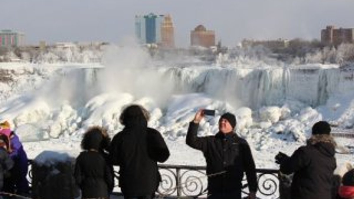 Niagara Şelalesi buz tuttu