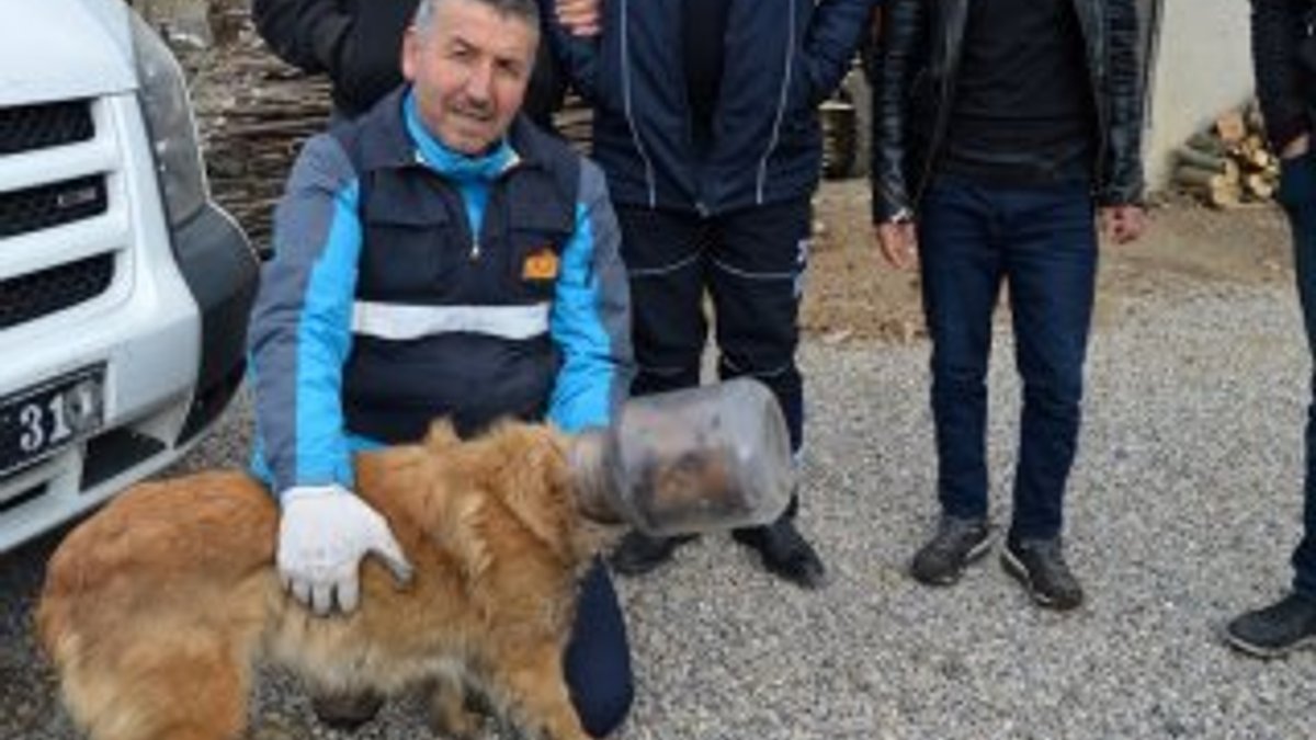 Kafası bidona sıkışan köpek kurtarıldı