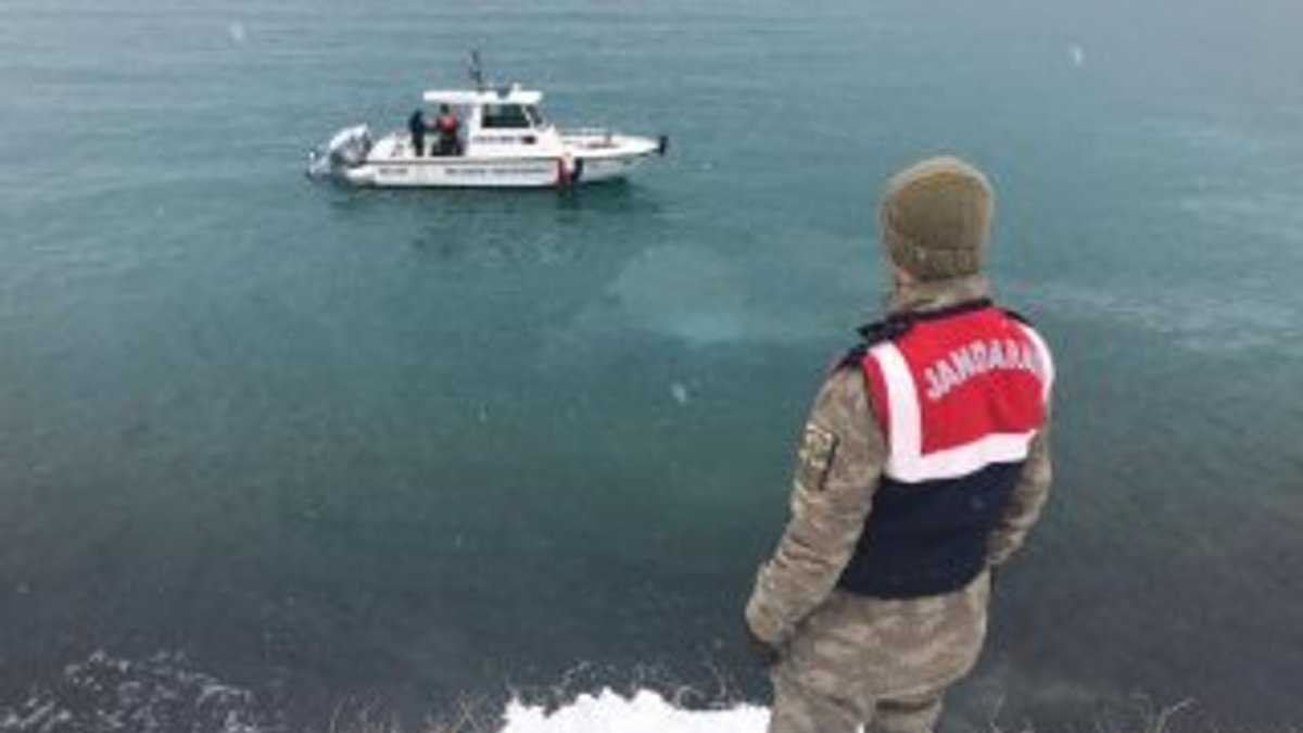 Van Gölü'ne uçan otomobilin sürücüsünü jandarma kurtardı
