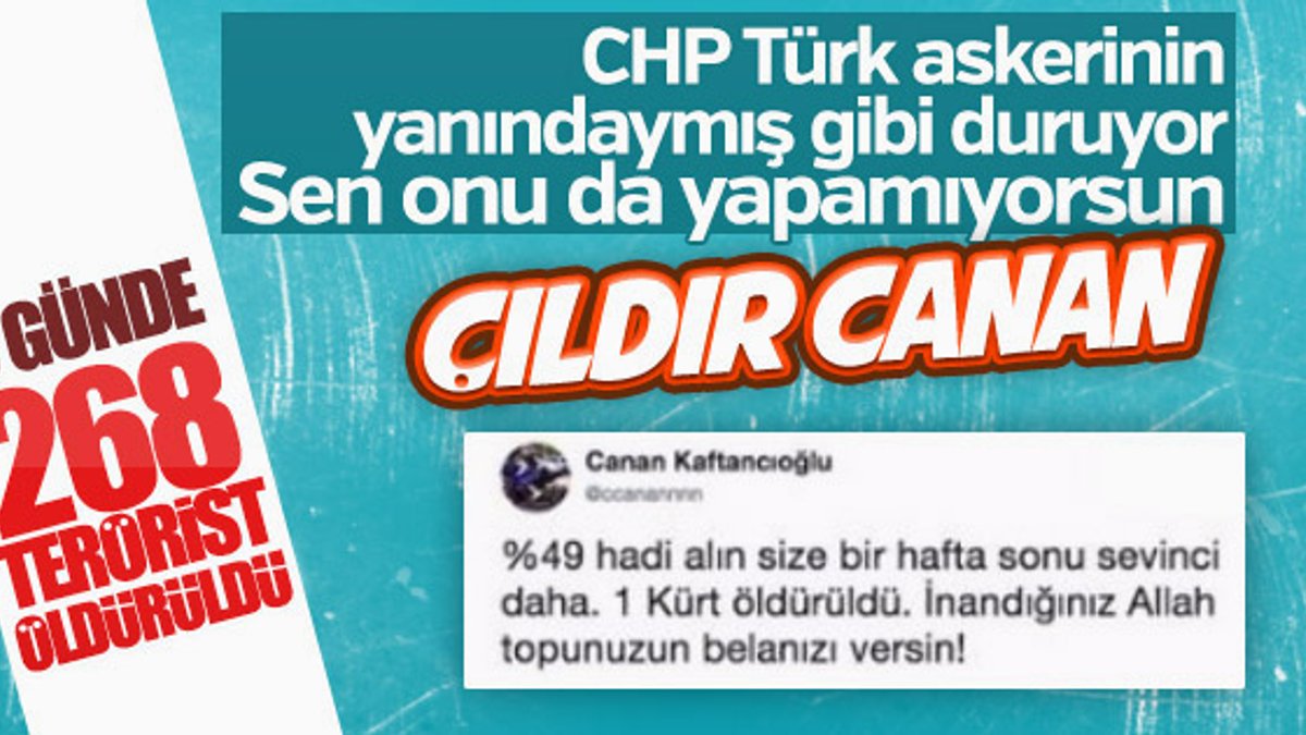 TSK Afrin'de PKK'yı vuruyor, Canan Kaftancıoğlu susuyor