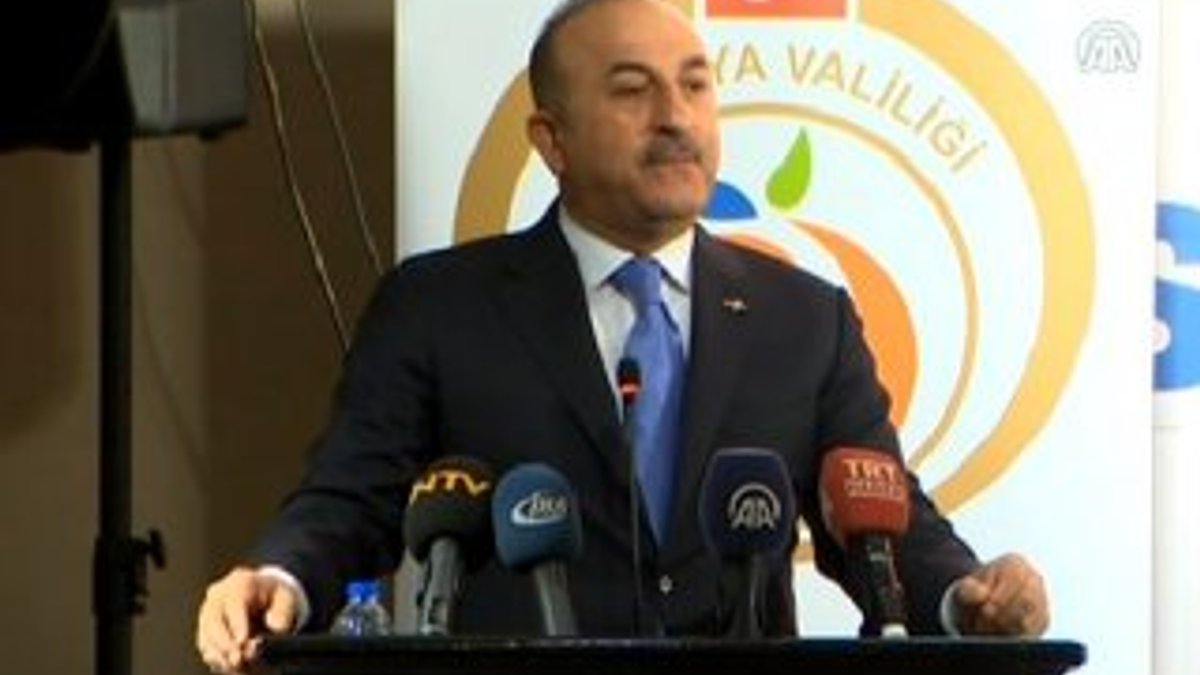 Çavuşoğlu Zeytin Dalı Harekatı'nı değerlendirdi