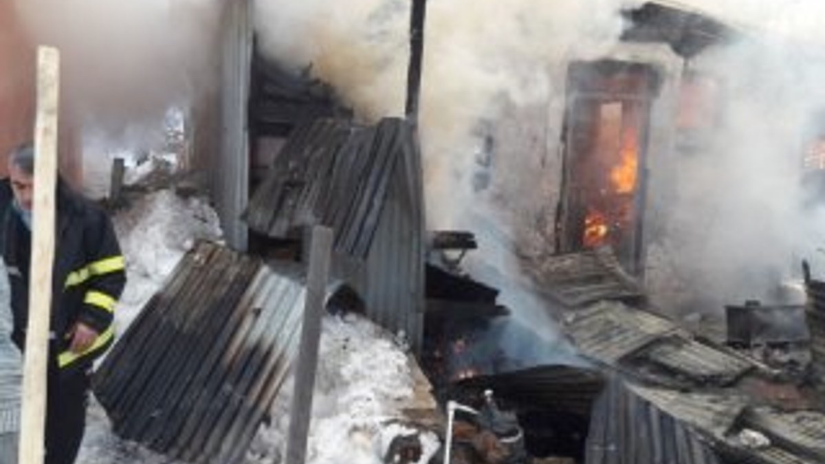 Bingöl'de 33 hayvan yanarak telef oldu