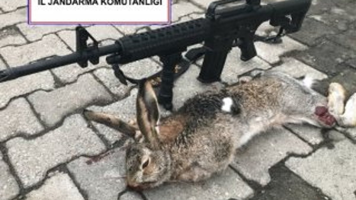 İzinsiz tavşan avına 2 bin 312 TL ceza