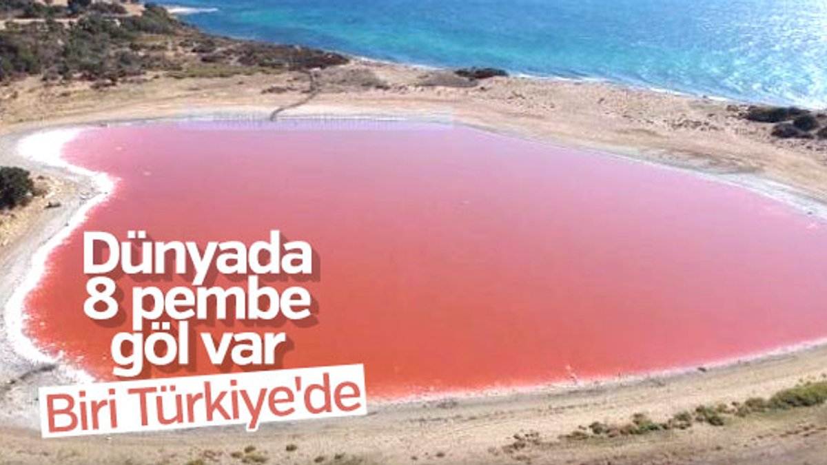 Dünyada 8 pembe göl var, biri Türkiye’de