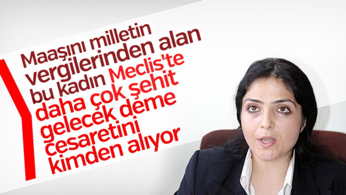 HDP'li Bedia Özgökçe Ertan'dan Meclis'te küstah sözler