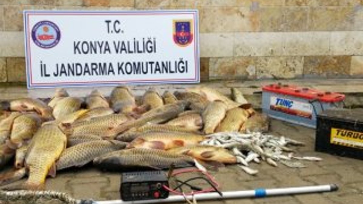 Elektroşokla balık avına 32 bin lira ceza