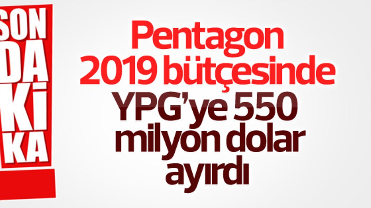 Pentagon 2019 bütçesinde YPG'ye ayırdığı bütçeyi açıkladı