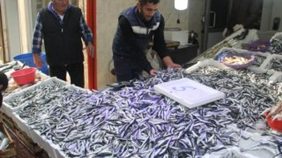 Türkiye'de ve Doğu Anadolu'da balık tüketimi düşük