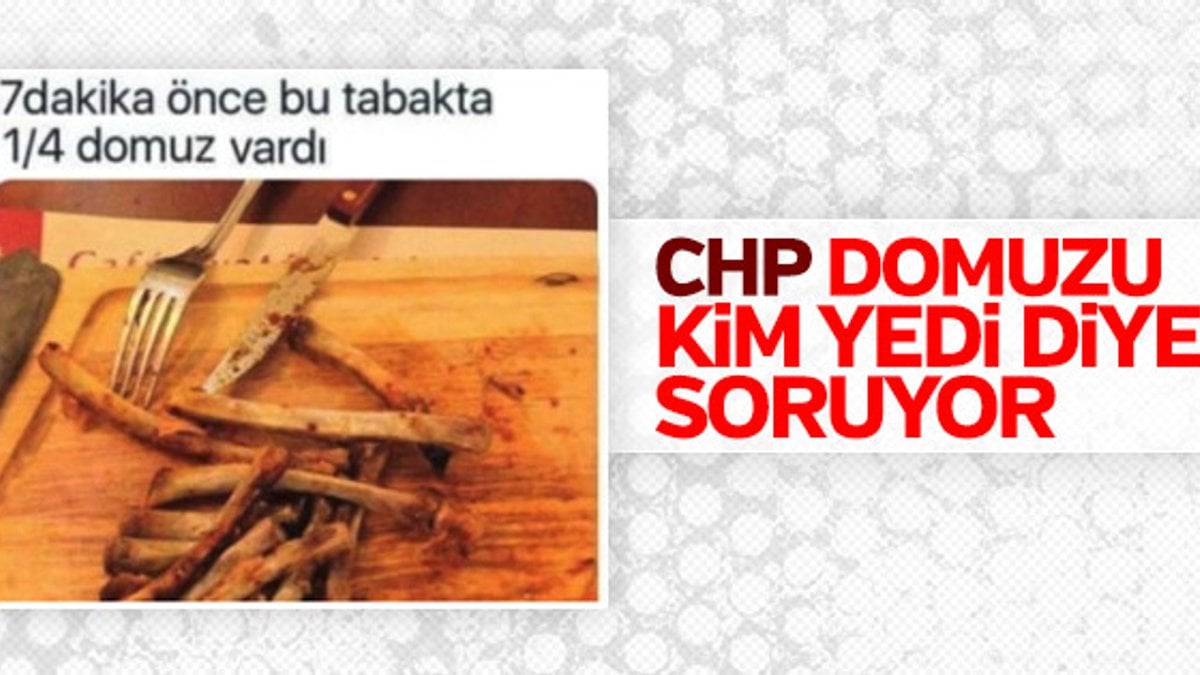 CHP, Türkiye'de satılan domuz etlerini araştırıyor
