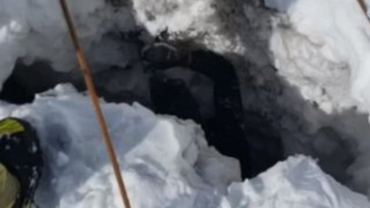 Türk dağcılar buzul çukuruna düşen köpeği kurtardı