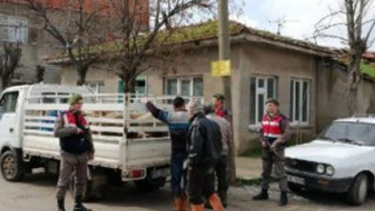 Balıkesir'de hayvan hırsızlarına operasyon