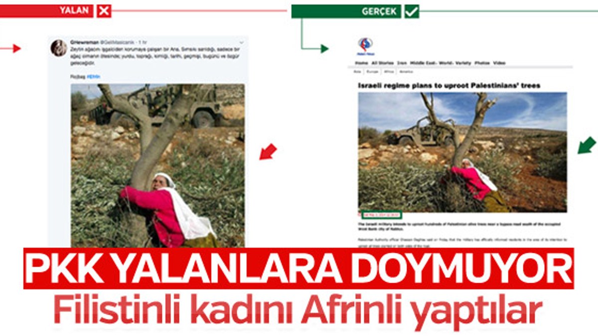 HDP'li kaçak vekil de Afrin yalanlarına destek veriyor
