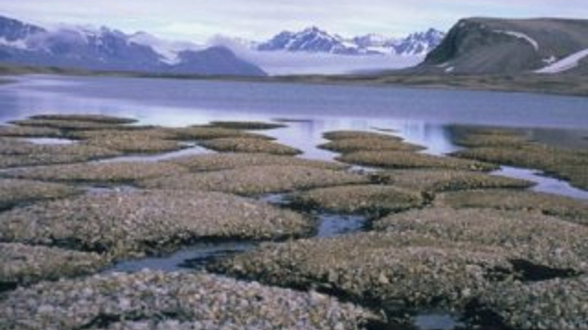 Kuzey Kutbu'ndaki karbon salınımı dünyayı tehdit ediyor