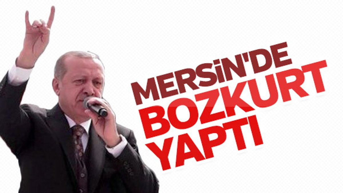 Cumhurbaşkanı Erdoğan Bozkurt işareti yaptı