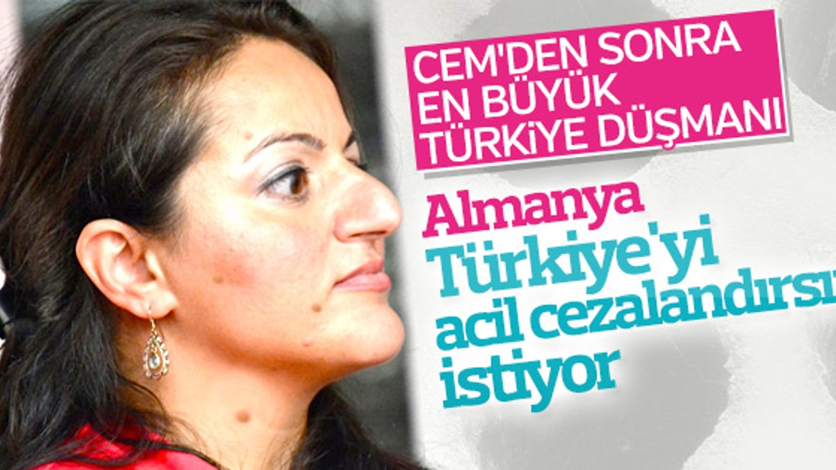 Sevim Dağdelen'in 'Türkiye'yi cezalandırın' çağrısı