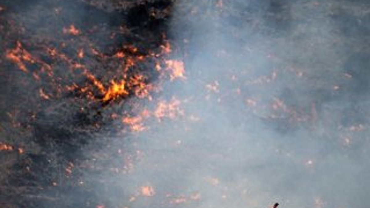 Girit Adası’nda büyük orman yangını