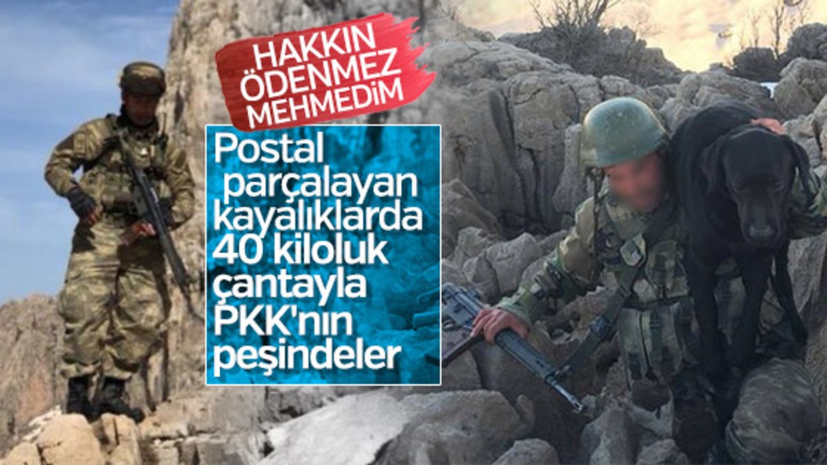 Mehmetçik zorlu şartlarda PKK'nın peşinde