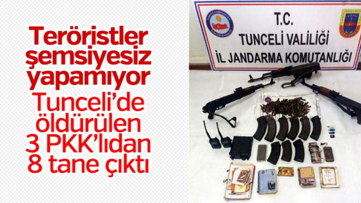Tunceli'de 3 PKK'lı öldürüldü