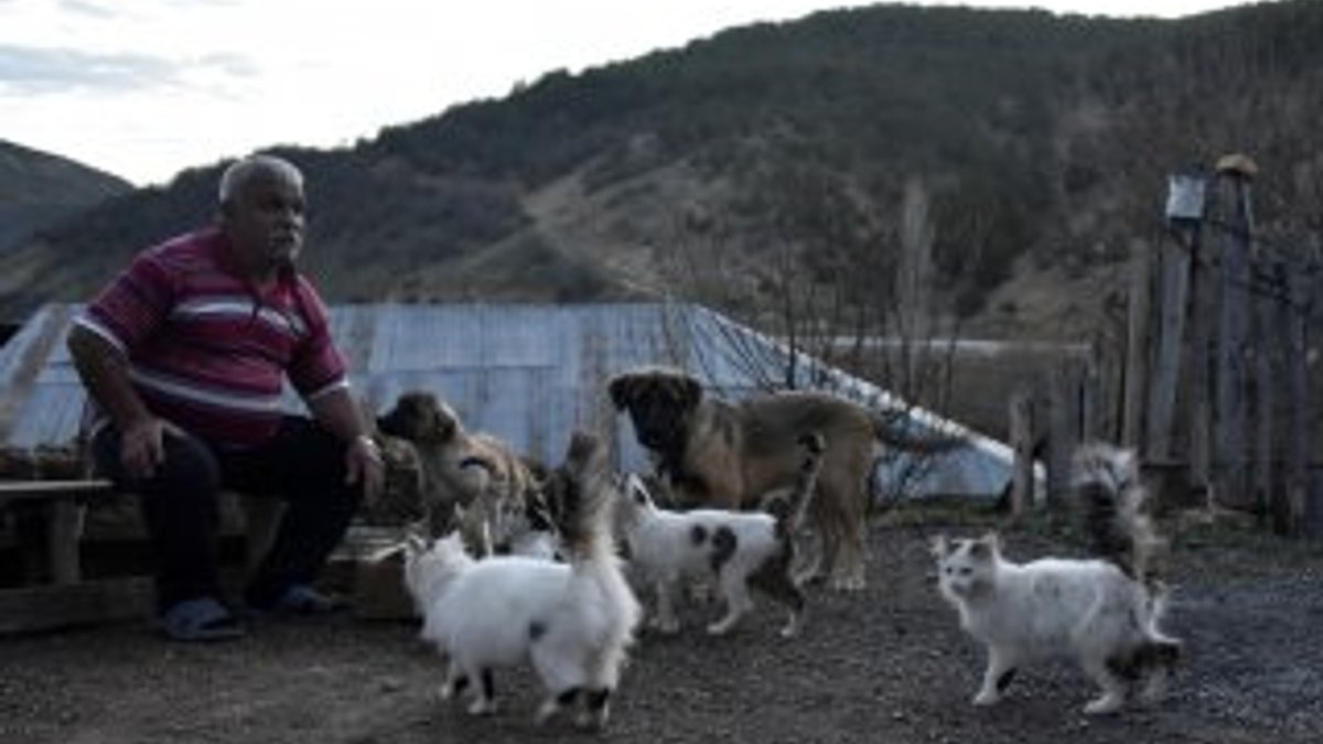 Emekli maaşıyla 25 kedi, 15 köpek besliyor