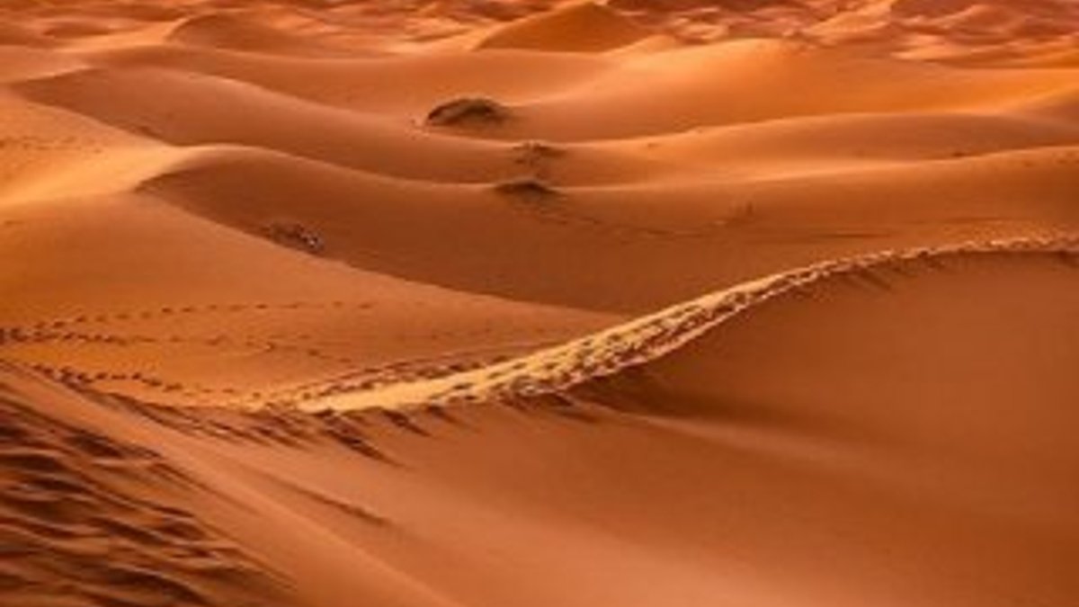 Suudi Arabistan'da ilk çöl insanı fosili bulundu