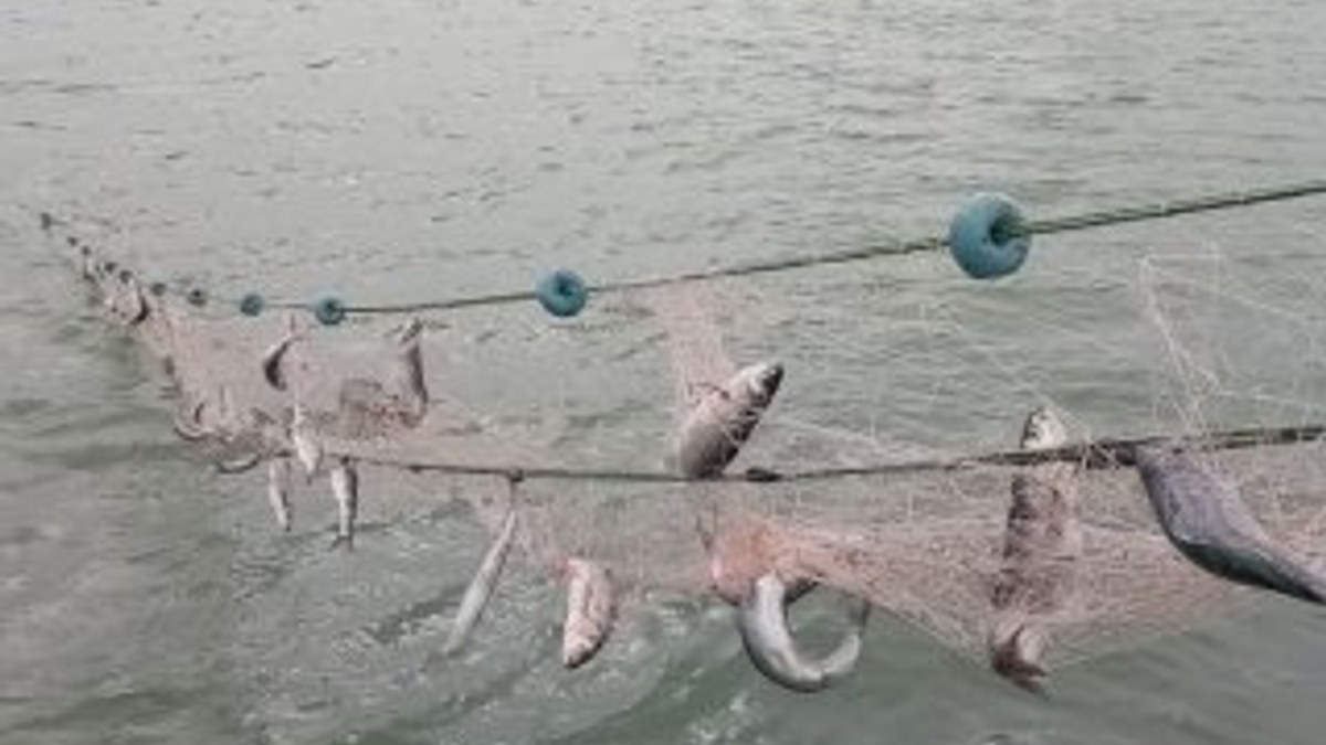 Denizlerde av yasağı başlıyor