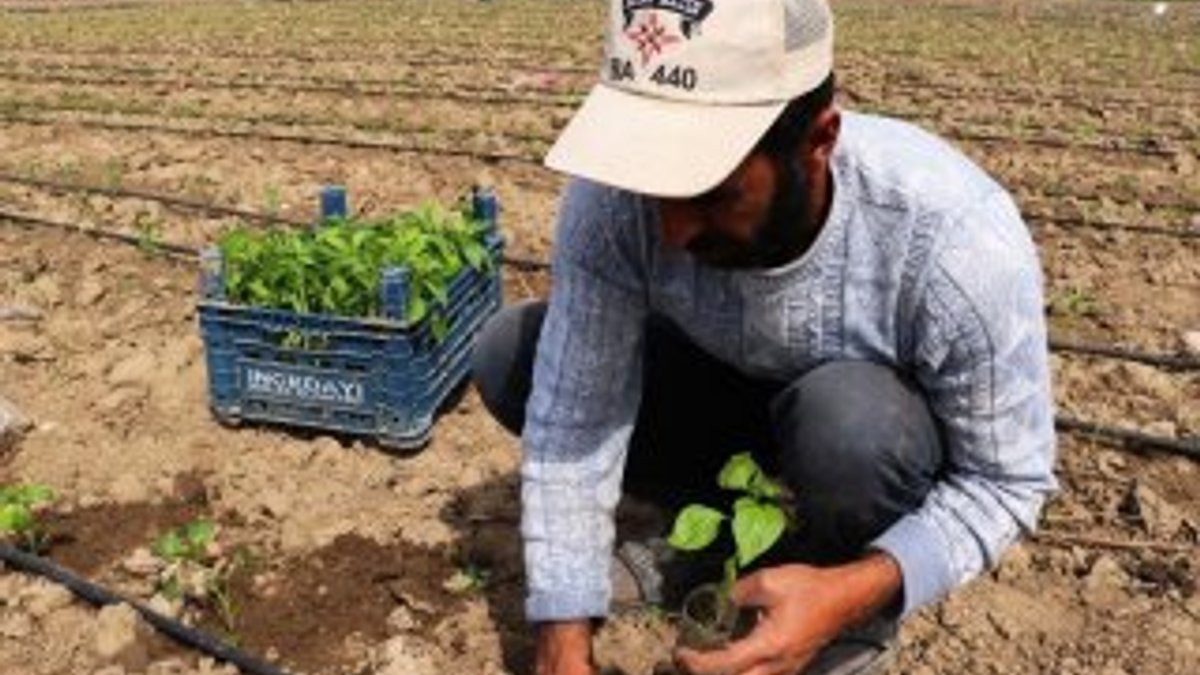 Diyarbakır'da 70 yoksul aileye arazi tahsis edildi