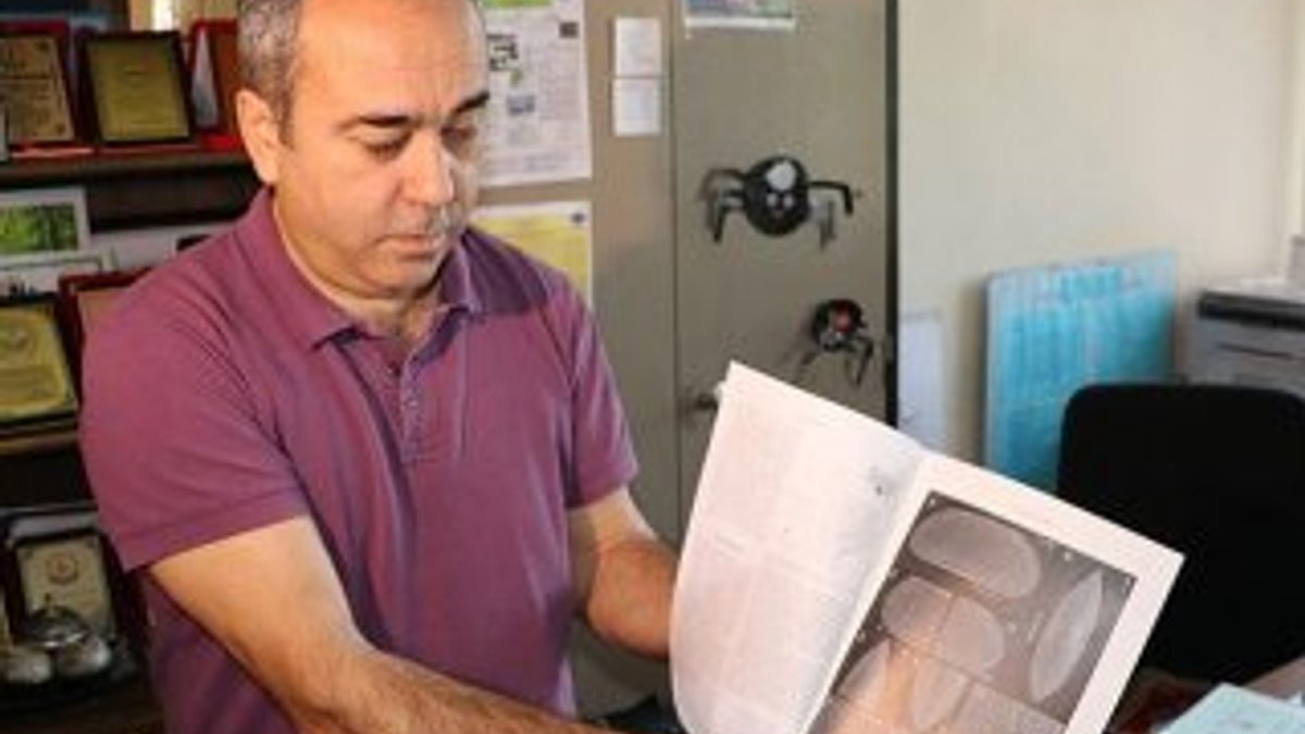 Türk profesör, ABD'de yeni ostrakod türleri keşfetti