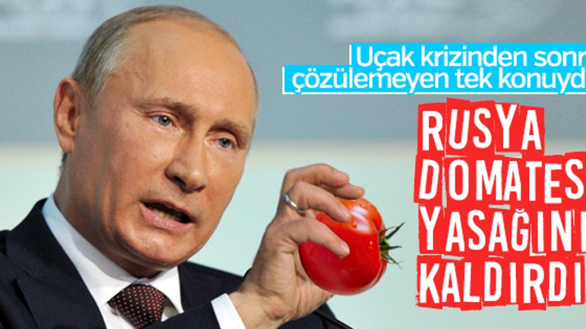 Rusya'dan Türk domatesine sınırsız vize