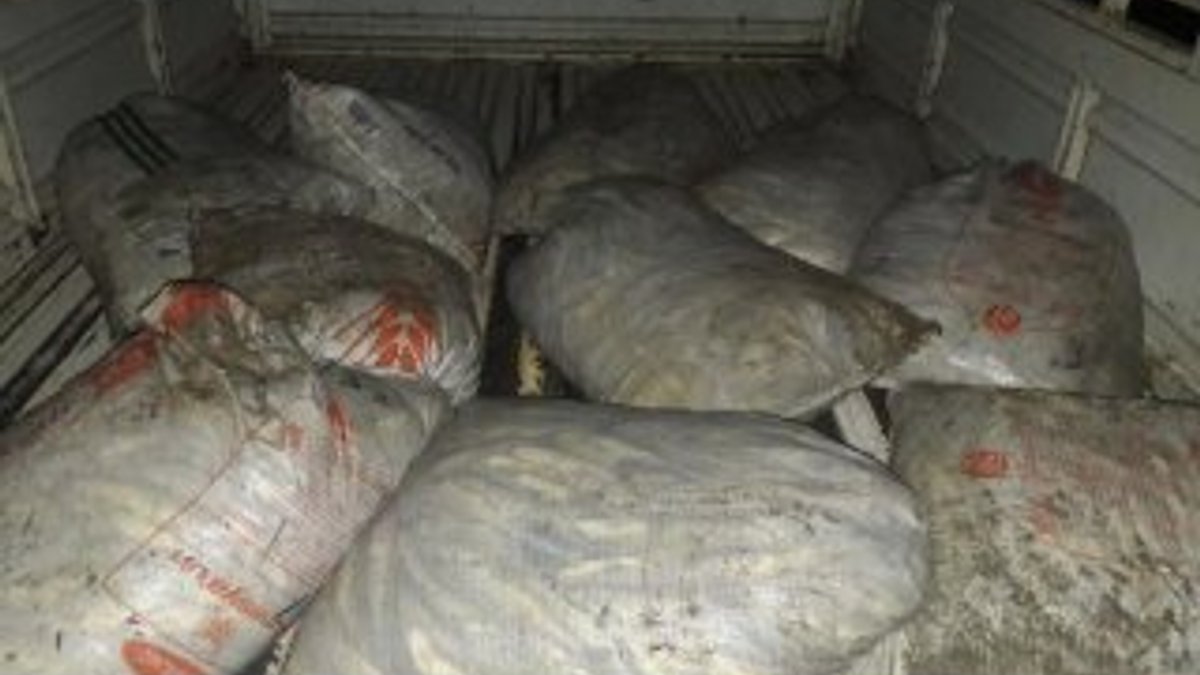 Van'da 4,8 ton inci kefali balığı ele geçirildi