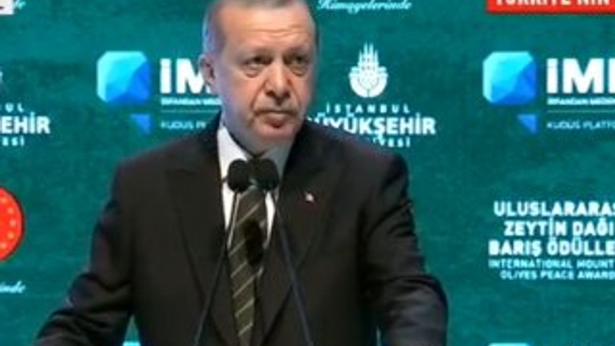 Erdoğan: Biz o silahları PKK'lıların elinden topladık
