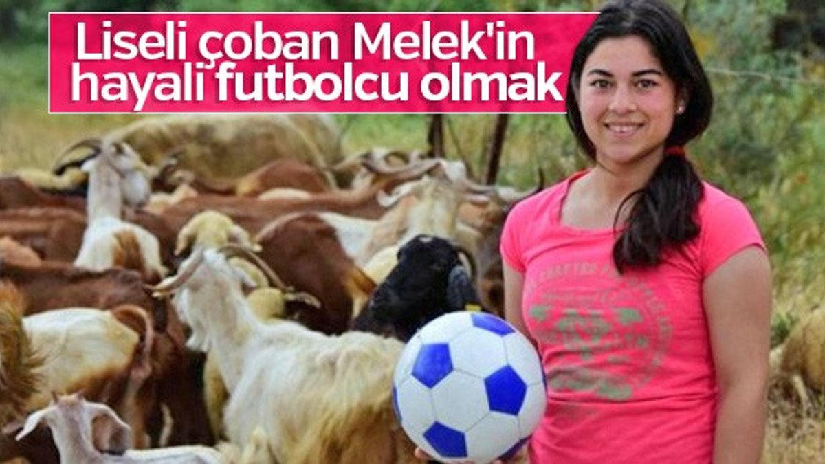 Liseli Melek hem çobanlık yapıyor hem okuyor