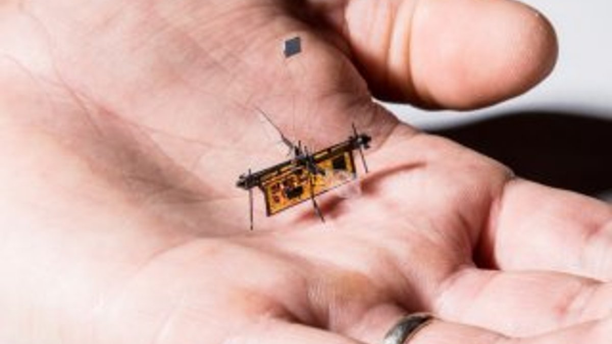 Kürdan ağırlığında robot böcek