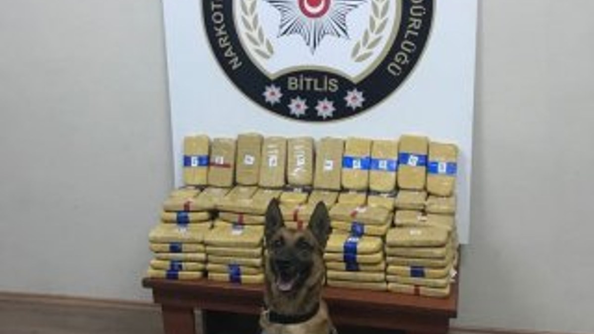 Narkotik köpeği 4.5 milyon değerinde uyuşturucu buldu