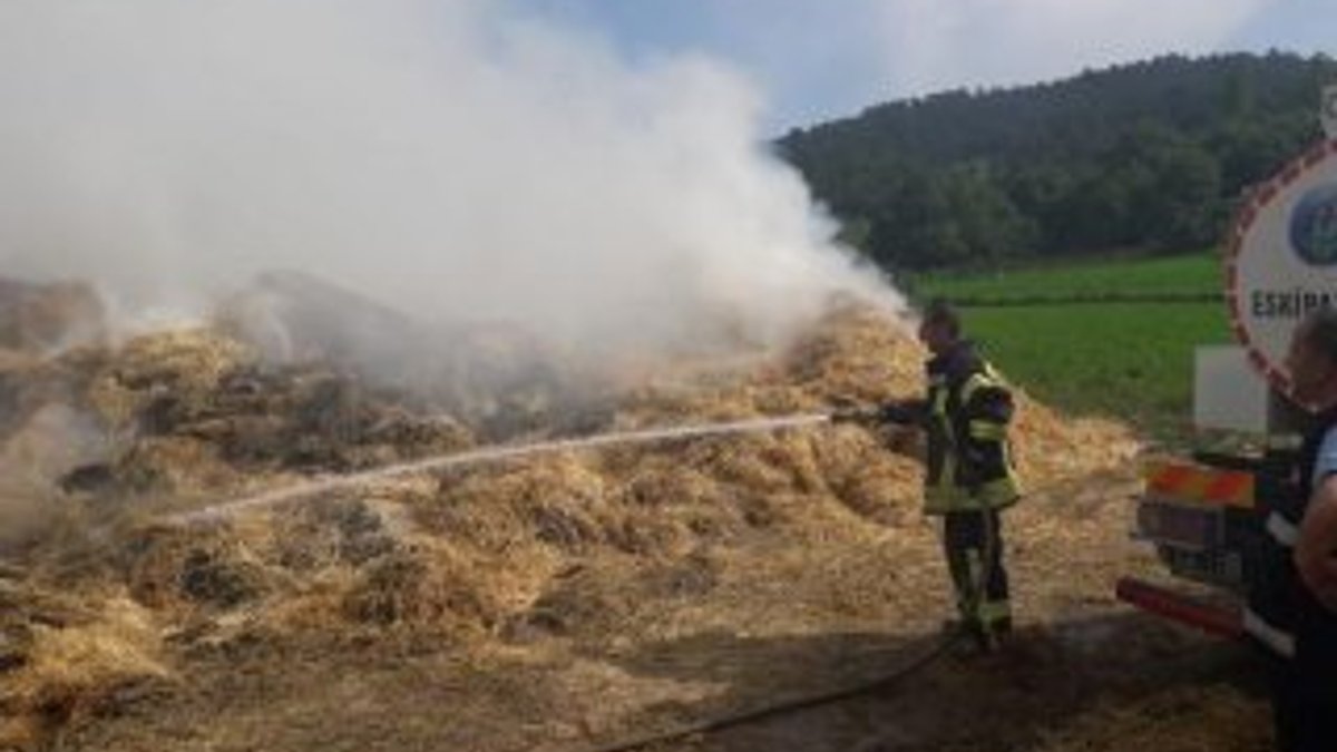 Samanlığı yıldırım düştü: 10 ton saman yandı
