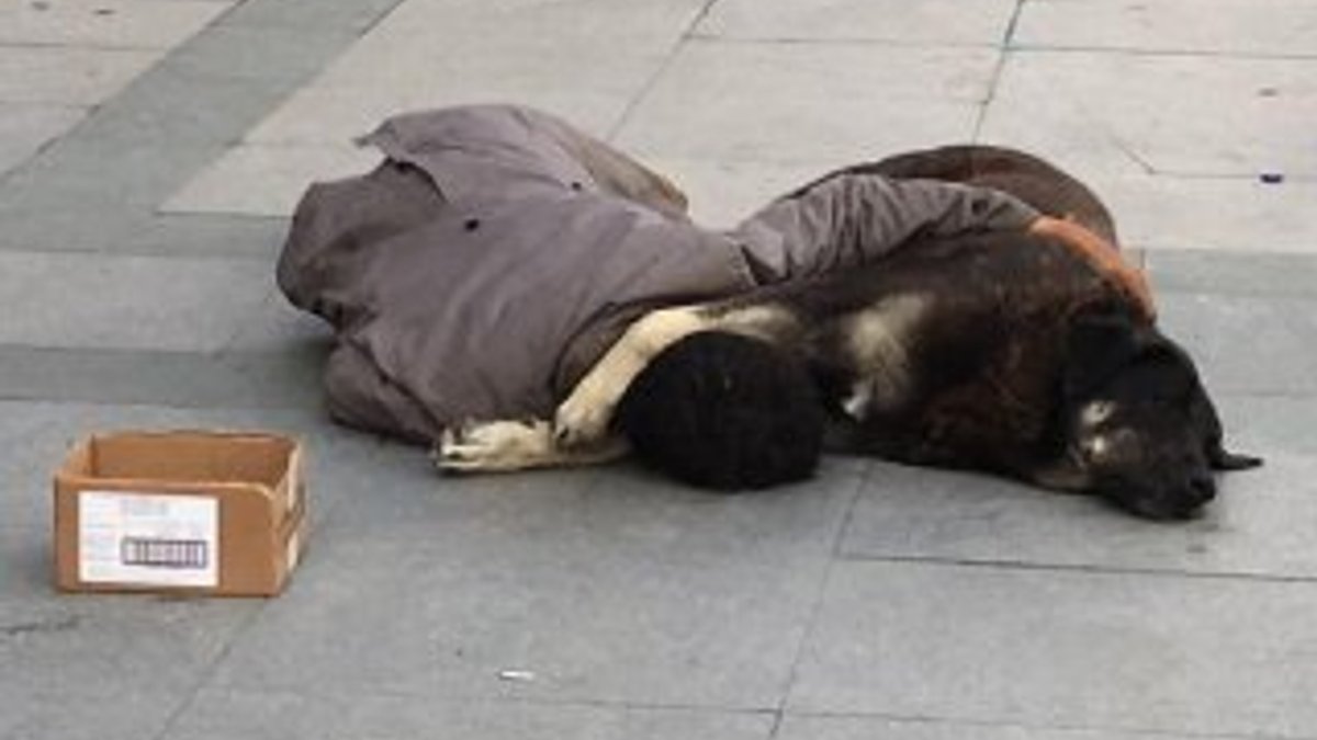 Taksim'de köpeğine sarılarak uyuyan çocuk yürek sızlattı
