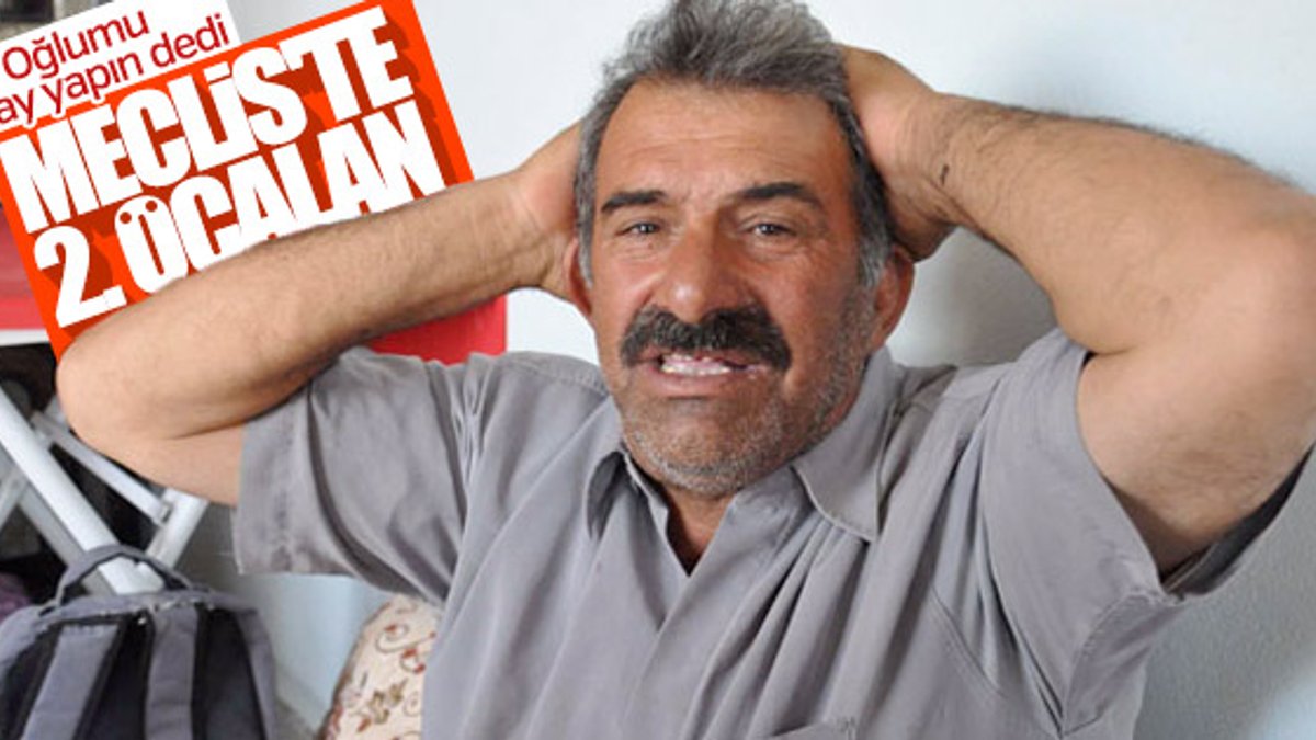 Abdullah Öcalan'ın bir yeğeni daha HDP'den aday oldu