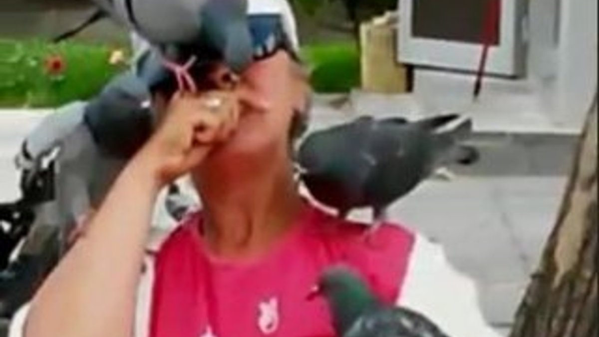 Çekirdek yiyen kadının etrafını saran güvercinler