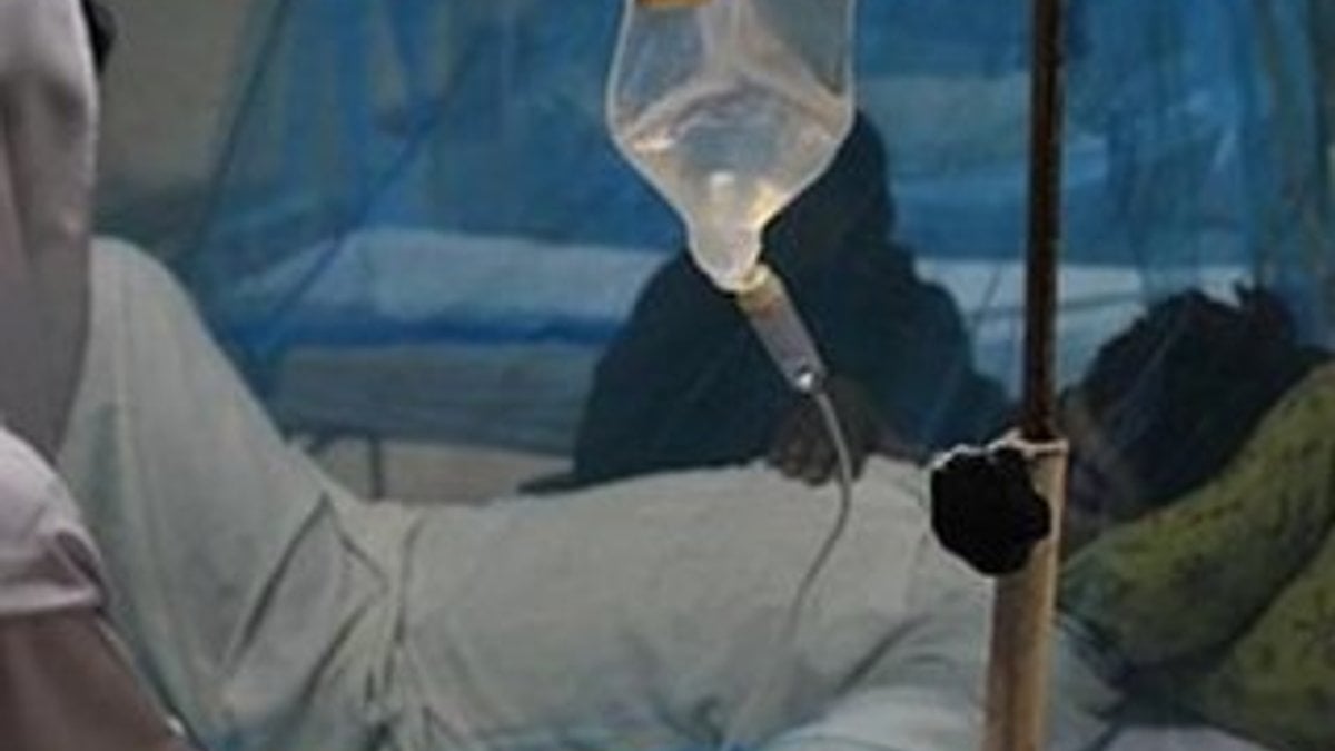 Hindistan'da Nipah virüsü salgını yayılıyor