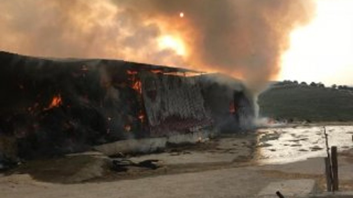 Manisa'da 15 bin balya saman yandı