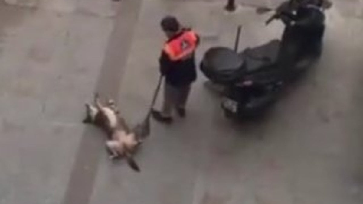 Yerde yatan köpeği süpürgesiyle mutlu eden işçi