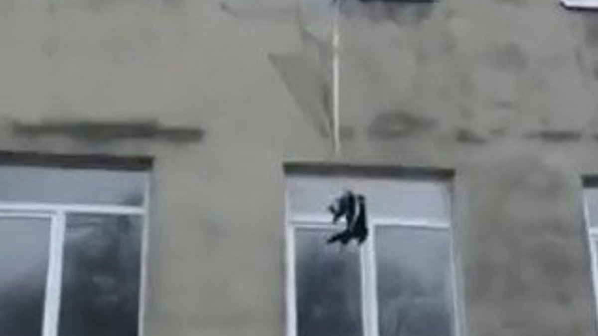 Kediye paraşüt takıp pencereden fırlattılar