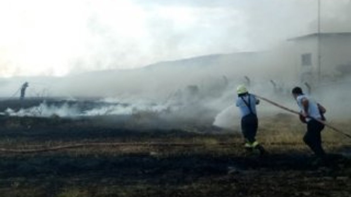 Martının çıkardığı yangında 60 dönümlük arazi kül oldu