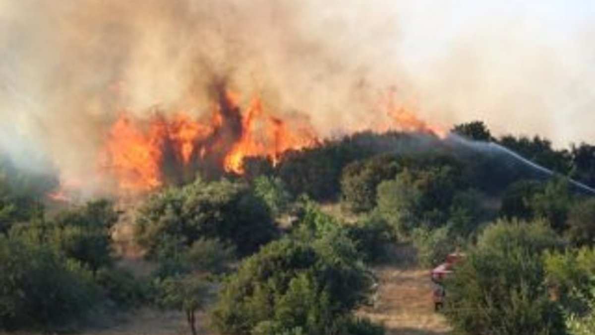 Çanakkale'de orman yangını: 2 saatte kontrol edildi