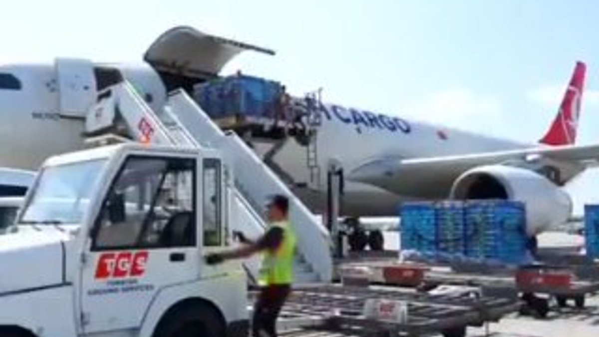 Türk kirazı Turkish Cargo ile dünya markası olma yolunda