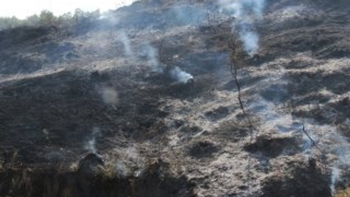 Muğla'da 2 hektar alan yandı