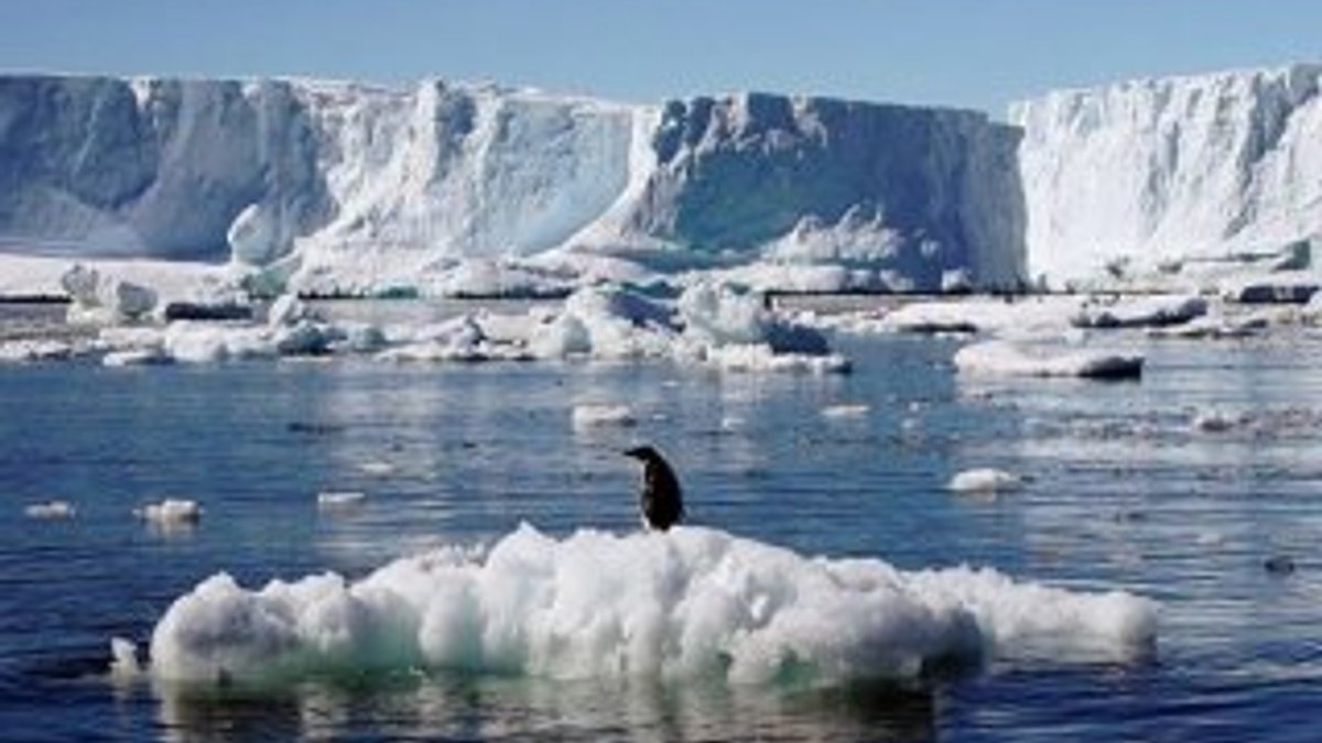 Antartika'daki buzulların erime hızı alarm veriyor